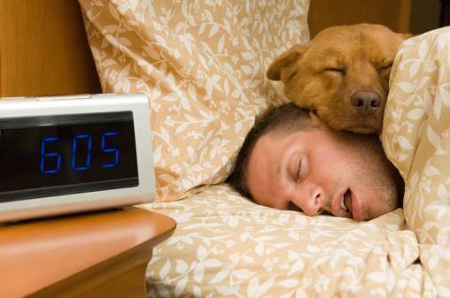 Sleep-Apnea
