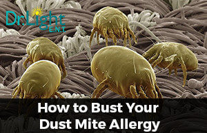 dust-mites2-copy-300x194