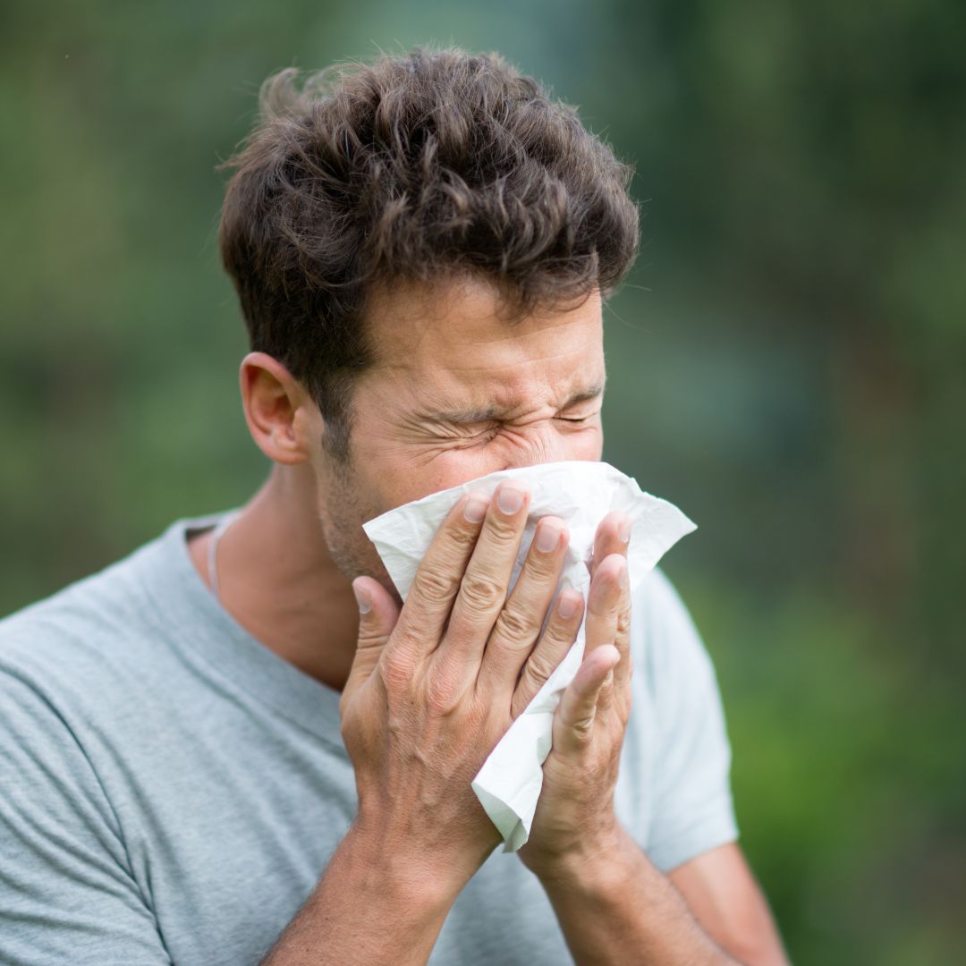 sneezing in nature