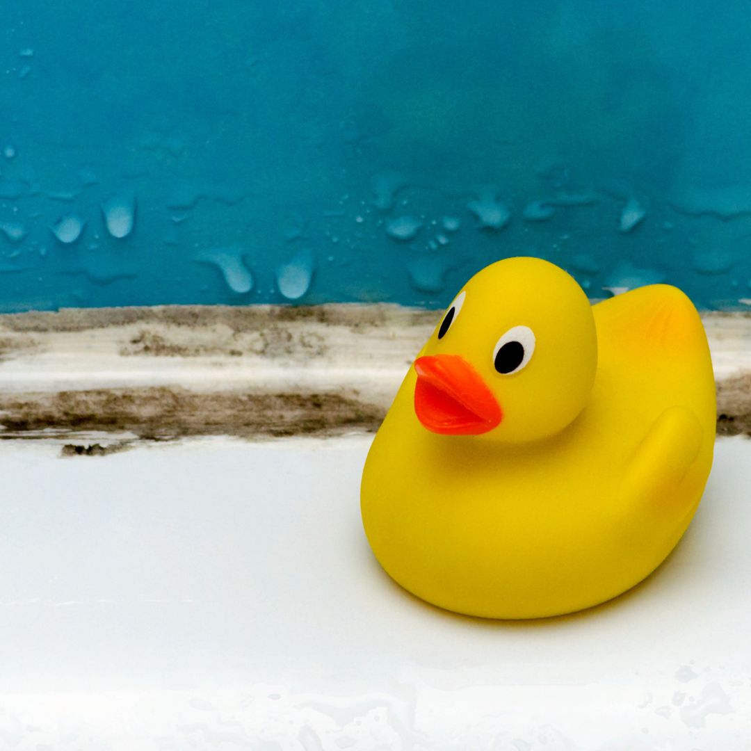 rubber duck in front of mold 