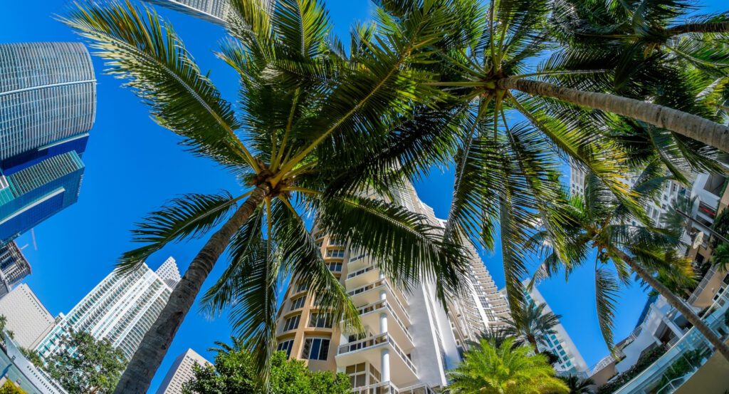 Florida Humidity - Hero